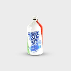 Big Gino The Extra Quality 70Cl